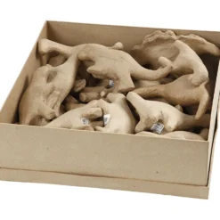 Dinosaurier av papier-maché, H: 9-12,5 cm, B: 4,5+5,5 cm, 21 st./ 1 förp.