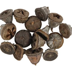 Eukalyptuskottar, 25 g/ 1 förp.