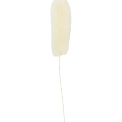 Harsvans-gräs, L: 3-7 cm, 6 st./ 1 förp.