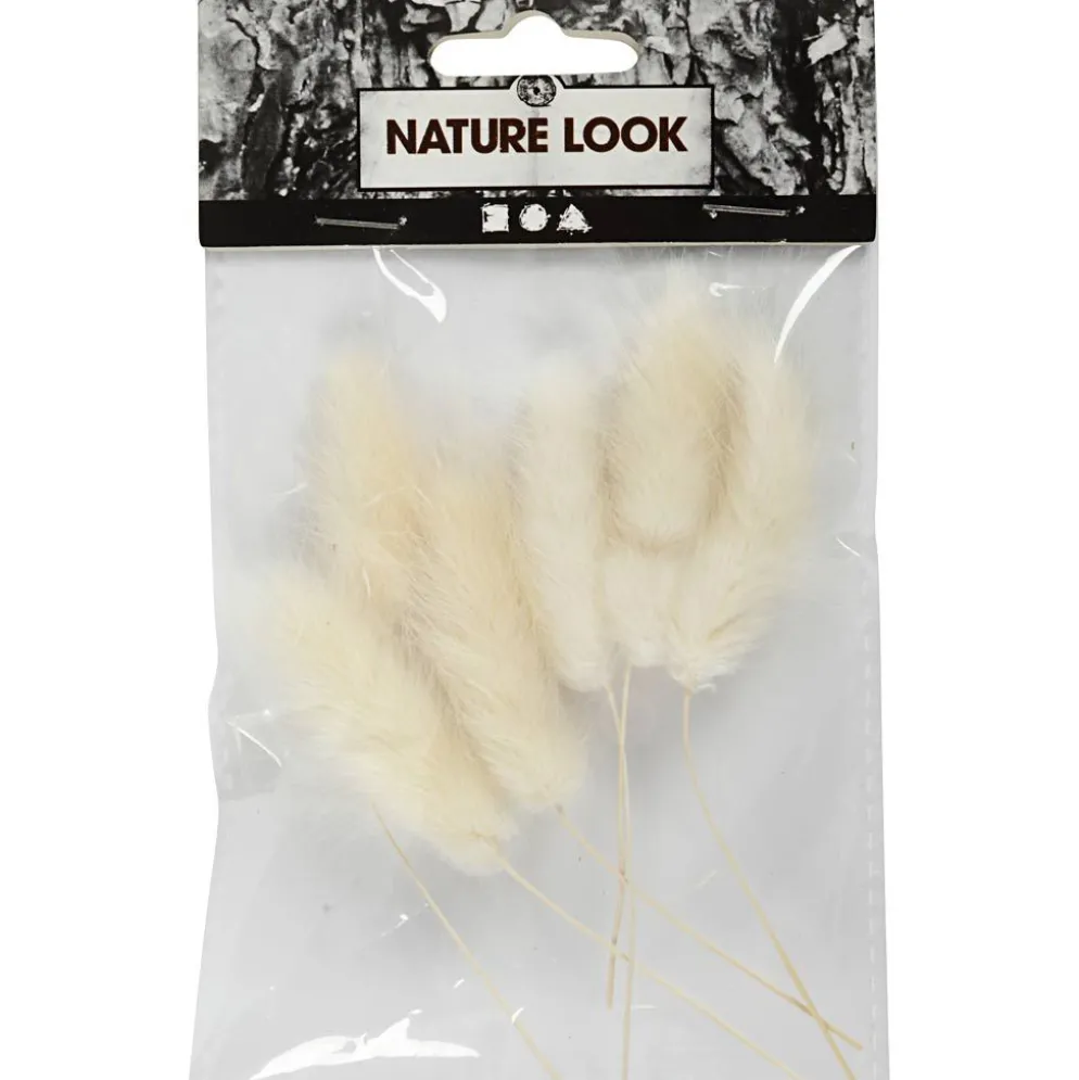 Harsvans-gräs, L: 3-7 cm, 6 st./ 1 förp.
