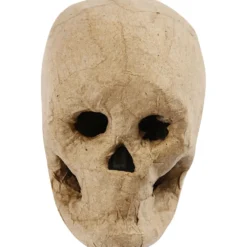 Kranium, H: 10 cm, 1 st.