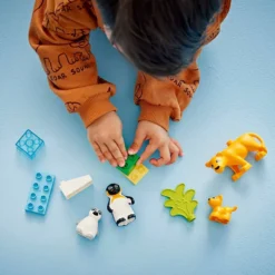 LEGO® DUPLO® Wild Animal Families pingviner och lejon, 10 delar/ 1 förp.
