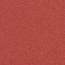 Manillamärken, stl. 3x8 cm, 220 g, röd, 20 st./ 1 förp.