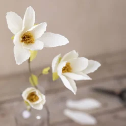 Mini DIY Kit Kräppapper, Magnoliakvist, Stretchbarhet: 180%, 1 förp.