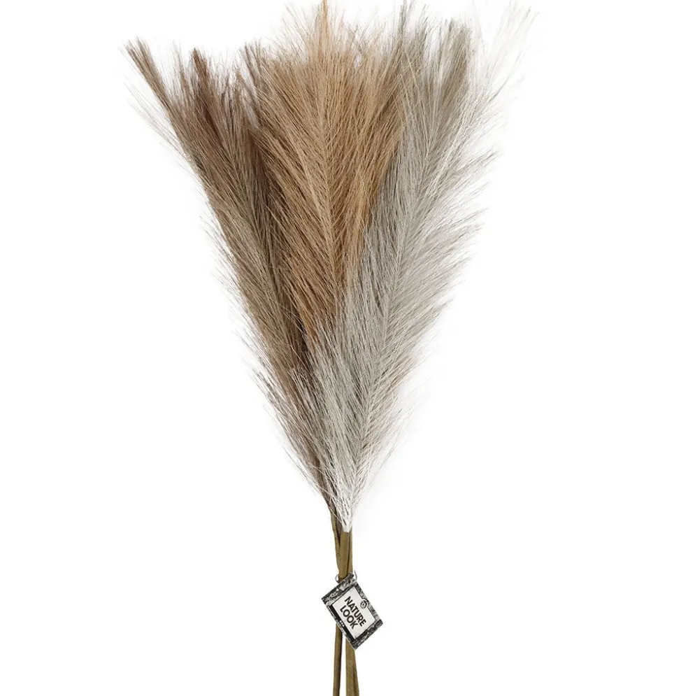 Pampasgräs, L: 50 cm, ivory, ljusbrun, ljusgrå, 3 st./ 1 bunt