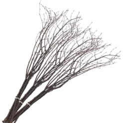 Påskris, L: 50-60 cm, 20 st./ 1 förp.