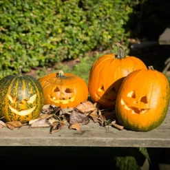 Pumpa Skärset, 1 set