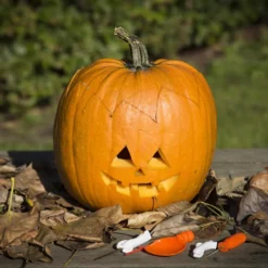 Pumpa Skärset, 1 set
