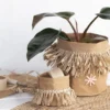 Pysselset - Raffia, 1 set