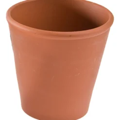 Rosenkruka, H: 10 cm, Dia. 8 cm, 12 st./ 1 förp.