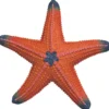 Schleich havsdjur, Sjöstjärna, stl. 1,3x7+2x7,2 cm, 1 st.