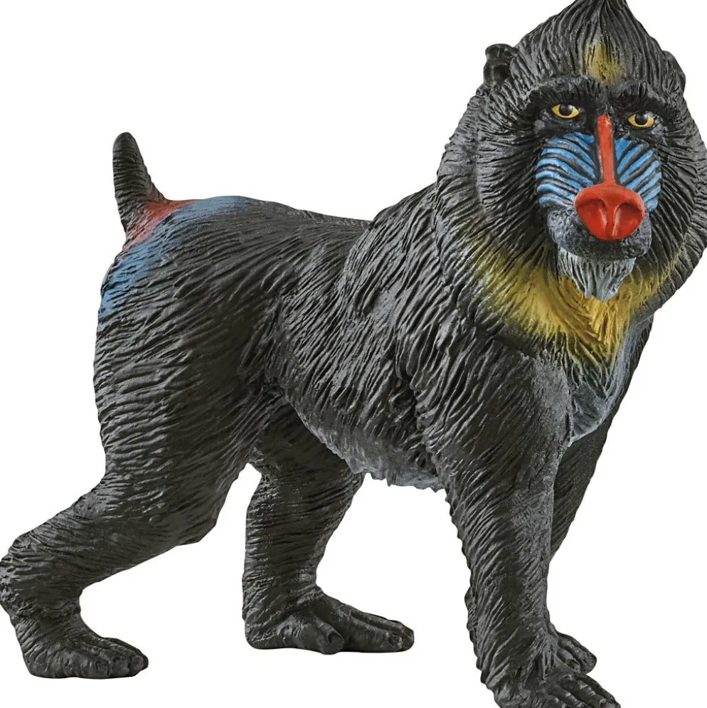 Schleich Nordiskt djurliv, Mandrill, stl. 3,4x9+5x2,8 cm, 1 st.