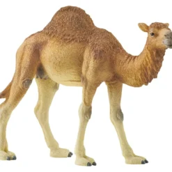 Schleich Vilda djur, Dromedar, stl. 10x14x3,4 cm, 1 st.