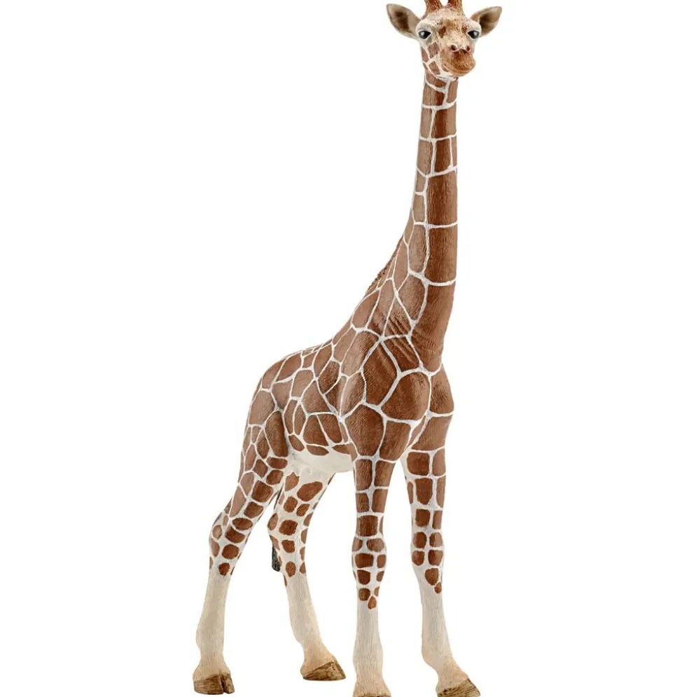 Schleich Vilda djur, Giraffhona, stl. 17,2x9x4,2 cm, 1 st.