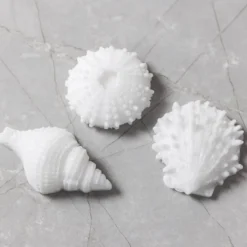Silikonform, Sjöborre, snäcka, skal, H: 1,5-2 cm, Dia. 3,5-6 cm, 3 st./ 1 förp.