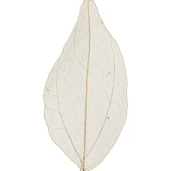 Skelettblad, L: 4,5-8 cm, natur, 20 st./ 1 förp.