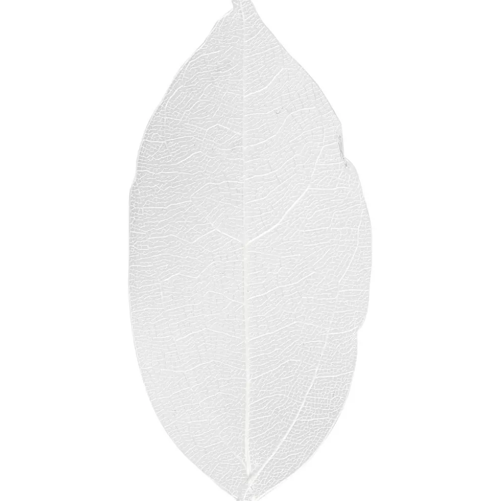 Skelettblad, L: 6-8 cm, vit, 20 st./ 1 förp.