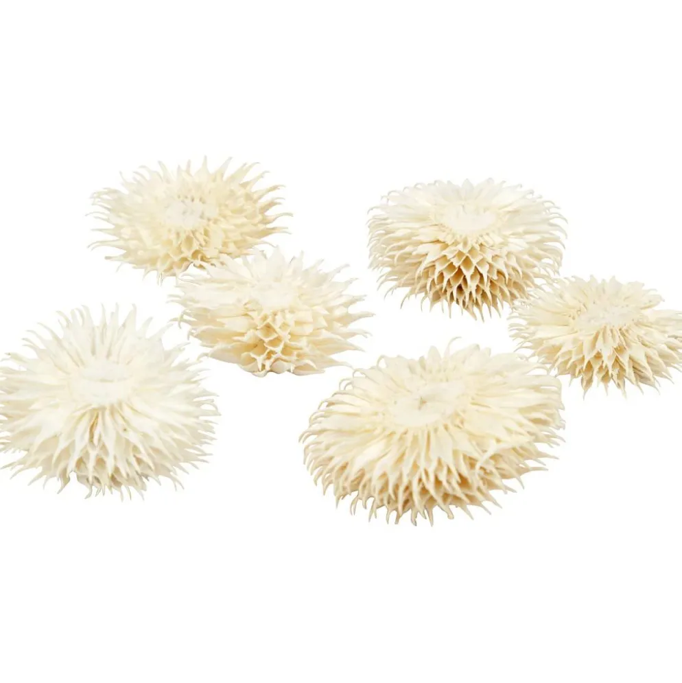 Torkade Blommor, Dia. 3-5 cm, 6 st./ 1 förp.