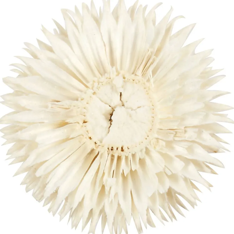 Torkade Blommor, Dia. 3-5 cm, 6 st./ 1 förp.