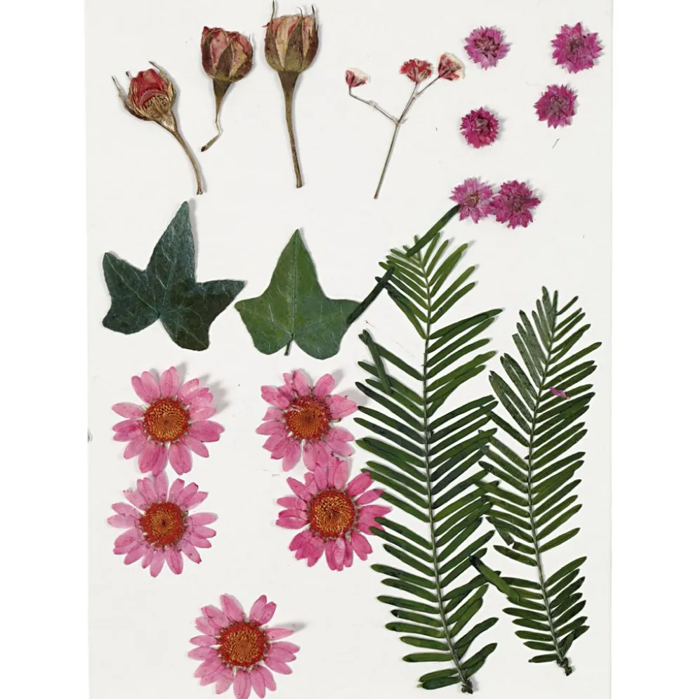 Torkade blommor och blad, ca. 19 st., ljusröd, 1 förp.